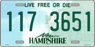 NH license plate 1173651