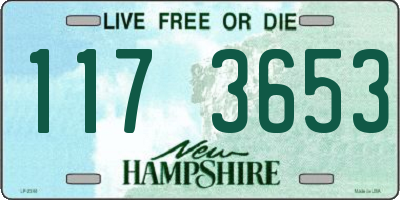 NH license plate 1173653