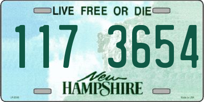 NH license plate 1173654