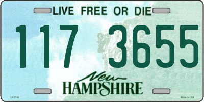 NH license plate 1173655