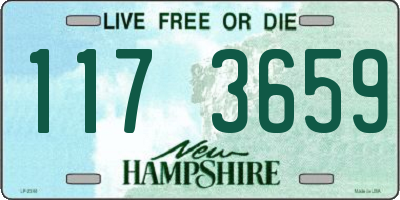 NH license plate 1173659