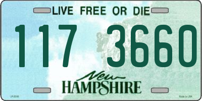 NH license plate 1173660