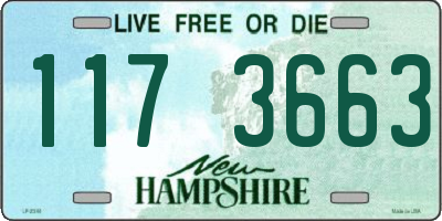 NH license plate 1173663