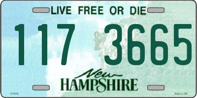 NH license plate 1173665
