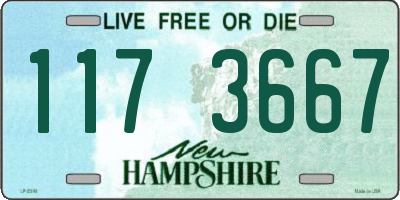 NH license plate 1173667