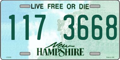 NH license plate 1173668