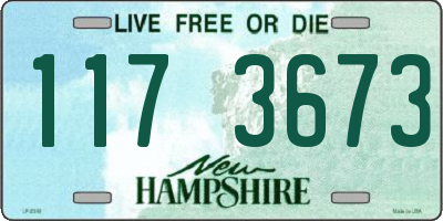 NH license plate 1173673