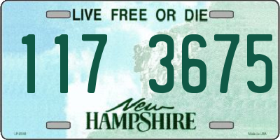 NH license plate 1173675