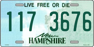 NH license plate 1173676