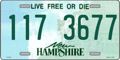 NH license plate 1173677