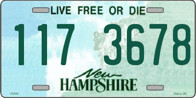 NH license plate 1173678