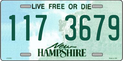 NH license plate 1173679