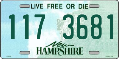 NH license plate 1173681