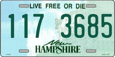 NH license plate 1173685