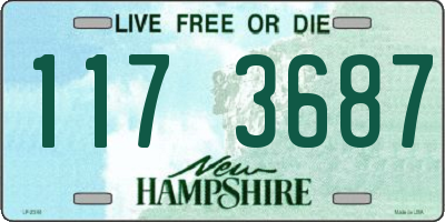 NH license plate 1173687