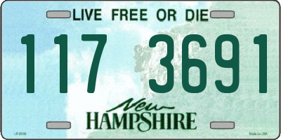 NH license plate 1173691