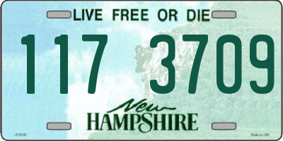 NH license plate 1173709
