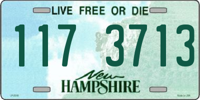 NH license plate 1173713