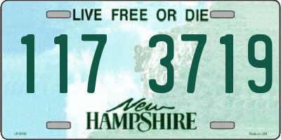 NH license plate 1173719