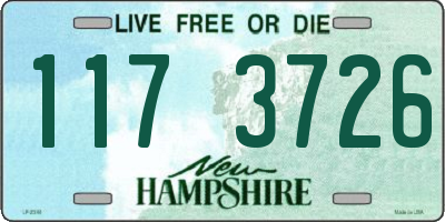 NH license plate 1173726