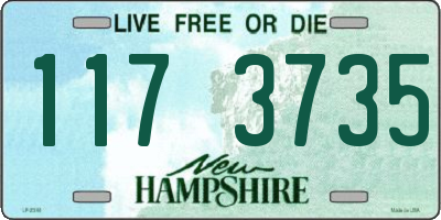 NH license plate 1173735