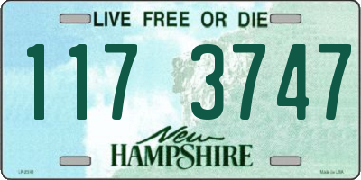 NH license plate 1173747