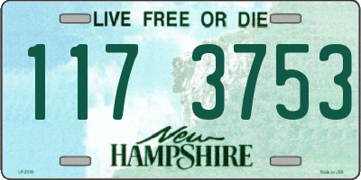NH license plate 1173753