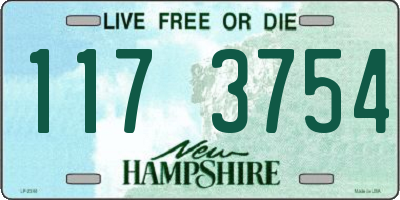 NH license plate 1173754