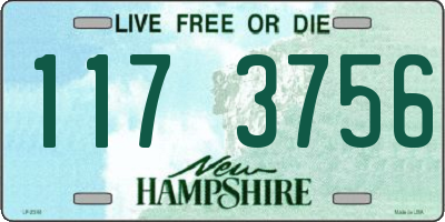 NH license plate 1173756
