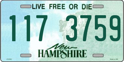NH license plate 1173759