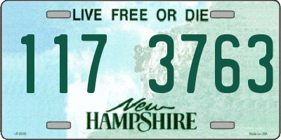 NH license plate 1173763