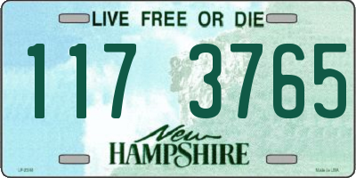 NH license plate 1173765