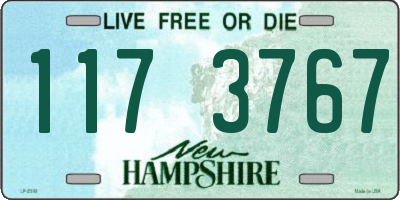 NH license plate 1173767