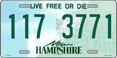 NH license plate 1173771