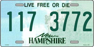 NH license plate 1173772