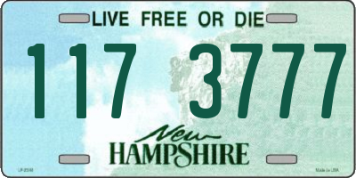 NH license plate 1173777