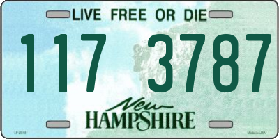 NH license plate 1173787