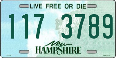 NH license plate 1173789