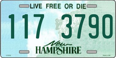 NH license plate 1173790