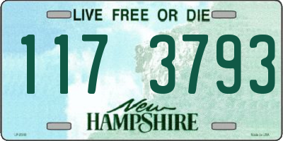 NH license plate 1173793