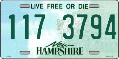 NH license plate 1173794