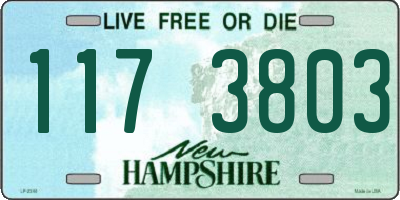 NH license plate 1173803