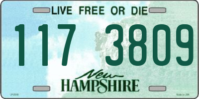 NH license plate 1173809