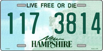 NH license plate 1173814