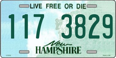 NH license plate 1173829