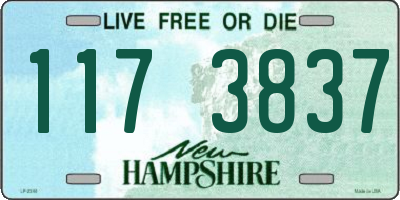 NH license plate 1173837