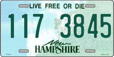 NH license plate 1173845