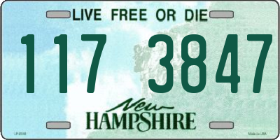 NH license plate 1173847