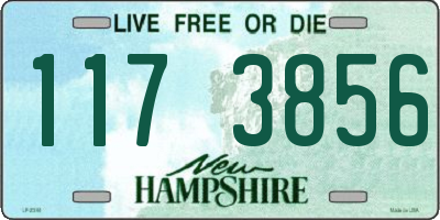 NH license plate 1173856