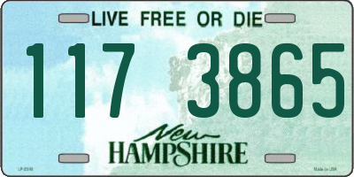 NH license plate 1173865